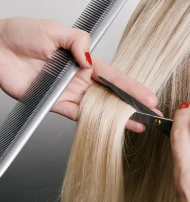 стрижки та зачіски